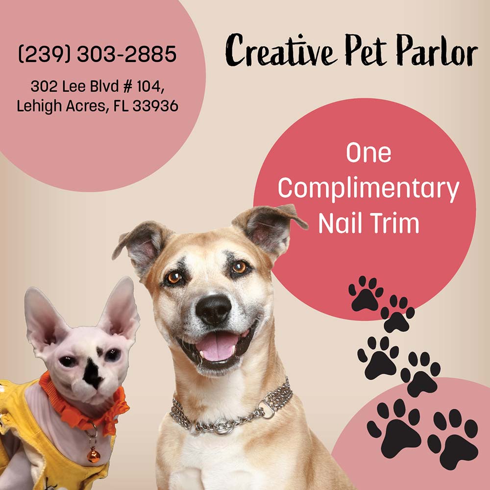 Creative Pet Parlor