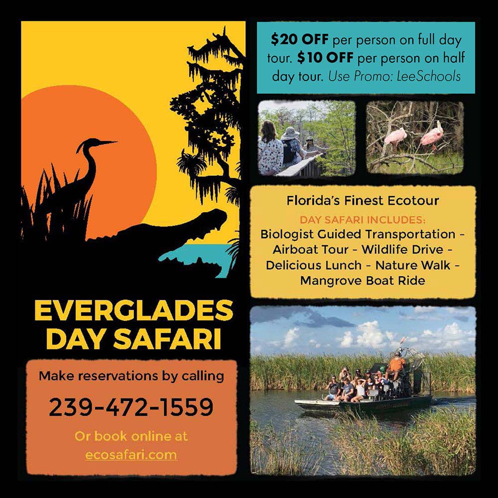 Everglades Day Safari